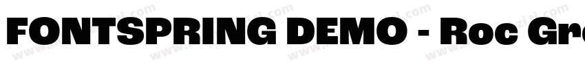FONTSPRING DEMO - Roc Grotesk Black字体转换